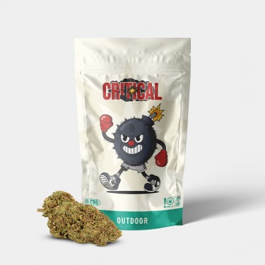 Fiori CBD GB Outdoor 'Critical +'