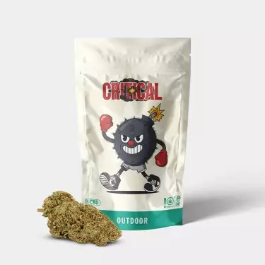 Fiori CBD GB Outdoor 'Critical +'- GB The Green Brand