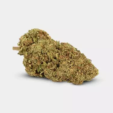 Fiori CBD GB Outdoor 'Critical +'- GB The Green Brand