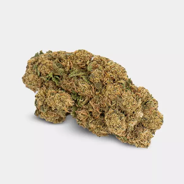 Fiori CBD GB Indoor 'Gorilla Glue' Fiori CBD GB Indoor 'Gorilla Glue' fiori