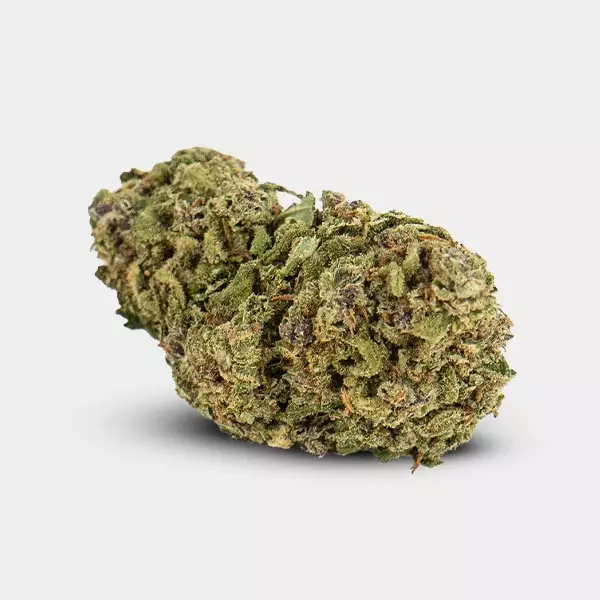 Fiori CBD GB Indoor 'Miracle Alien Cookies' fiori