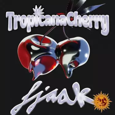 Tropicana Cherry