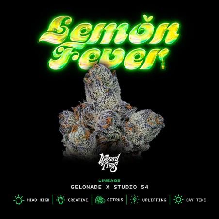 Lemon Fever 2