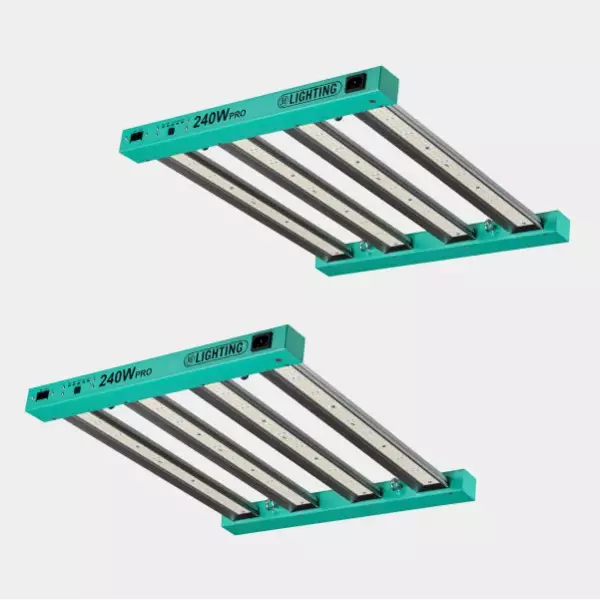 Kit Completo Professionale 120x120 - GB The Green Brand