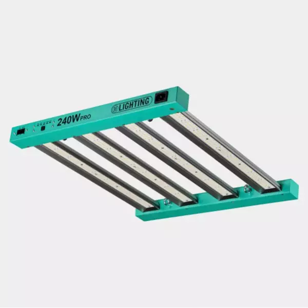 Kit Completo Principiante 80x80 - GB The Green Brand