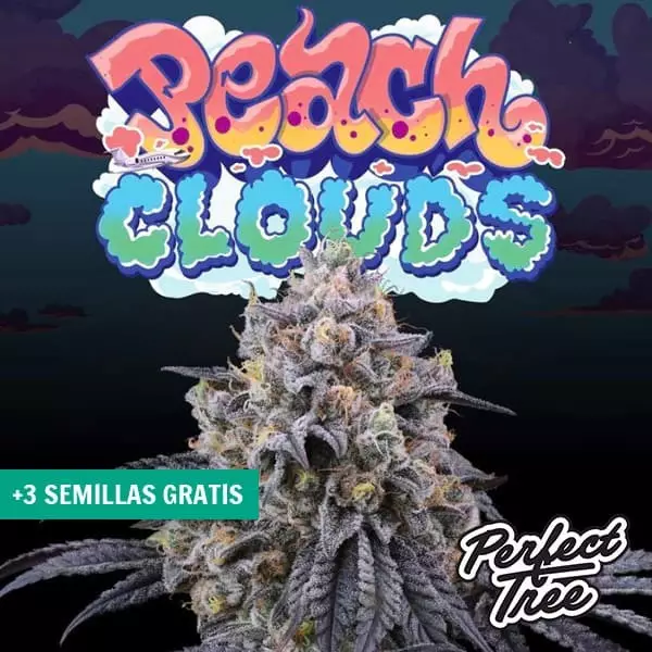 Visualizzazione Peach Clouds