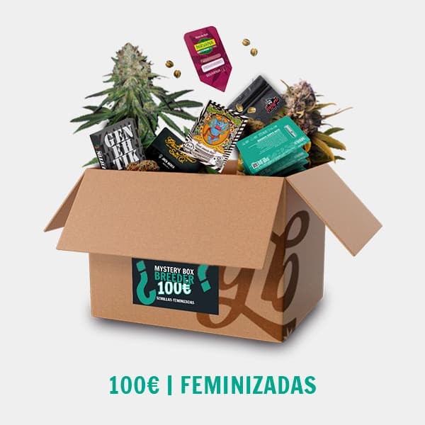 Visualizzazione Breeder Mystery Box FEM