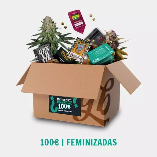 Visualizzazione Breeder Mystery Box FEM