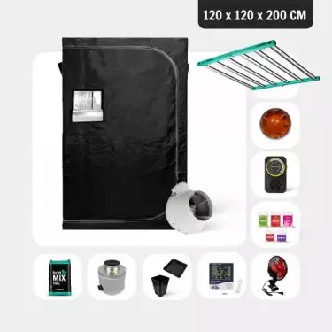 Kit Completo Esperto 120x120 - GB The Green Brand