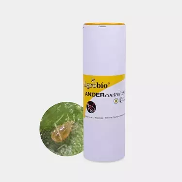 Ander Control Ragno Rosso 🕷️ ▷ Proteggi la tua coltura | Growbarato