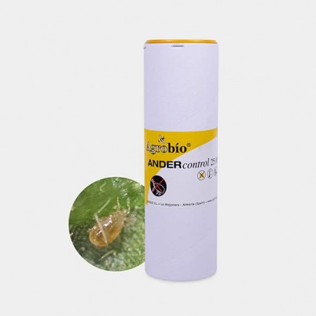 Ander Control Ragno Rosso