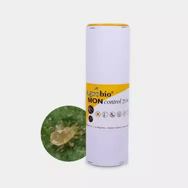 Mon Control Tripidi 》Controllo biologico dei tripidi 🐞 | Growbarato