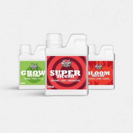 Kit di coltivazione indoor da 600 W senza armadio