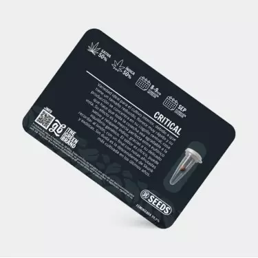 Kit di coltivazione indoor da 600 W senza armadio