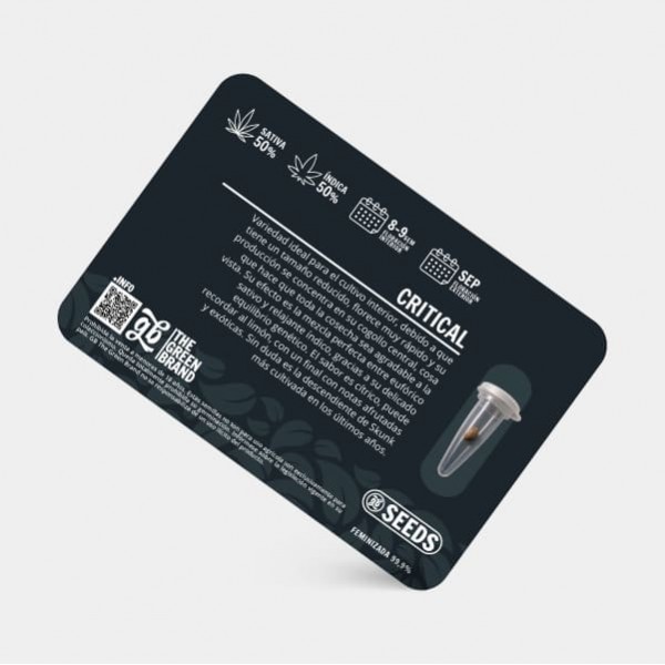 Kit di coltivazione indoor da 600 W senza armadio