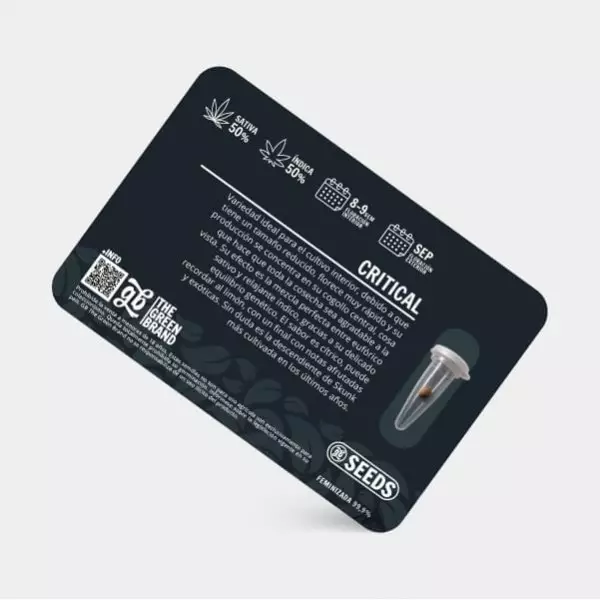 Kit di coltivazione indoor da 600 W senza armadio