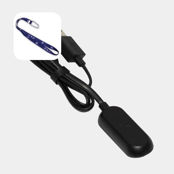 PAX Mini Caricatore USB portatile PAX Labs