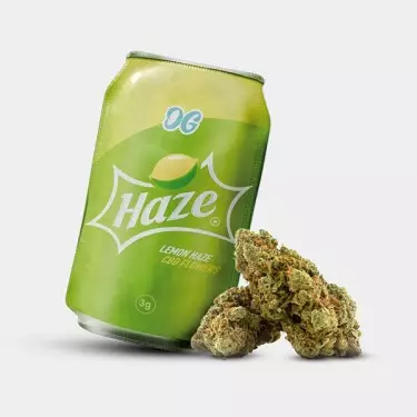 Lemon Haze Fiori CBD Only Grams 🍋- GB The Green Brand