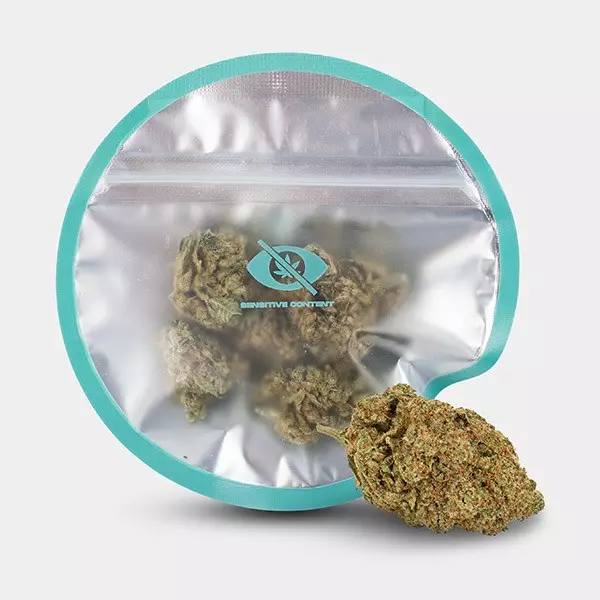 Visualizzazione Fiori CBD KEMA 'Amnesia Haze' 🌸🌺- GB The Green Brand