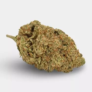 Fiori CBD KEMA 'Amnesia Haze' 🌸🌺- GB The Green Brand