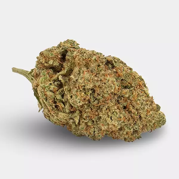 Fiori CBD KEMA 'Amnesia Haze' 🌸🌺- GB The Green Brand