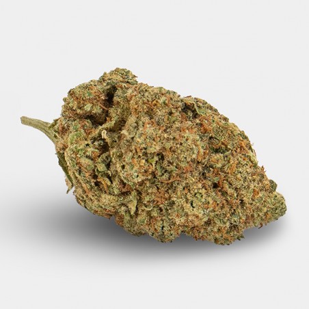 Fiori CBD KEMA 'Amnesia Haze'