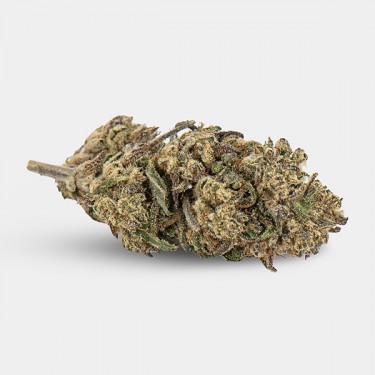 Fiori CBD KEMA 'Plutonium' 💥☄️- GB The Green Brand