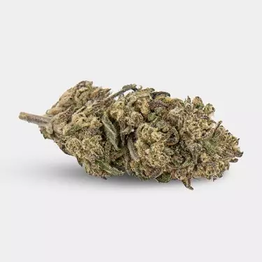 Fiori CBD KEMA 'Plutonium' 💥☄️- GB The Green Brand