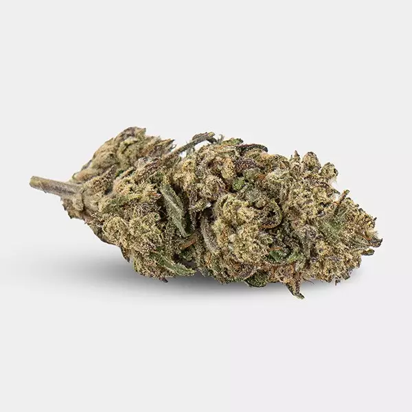 Fiori CBD KEMA 'Plutonium' 💥☄️- GB The Green Brand