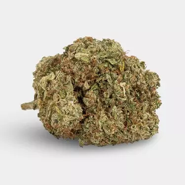 Fiori CBD KEMA 'Blueberry Muffin' 🧁- GB The Green Brand