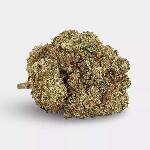 Fiori CBD KEMA 'Blueberry Muffin' 🧁- GB The Green Brand