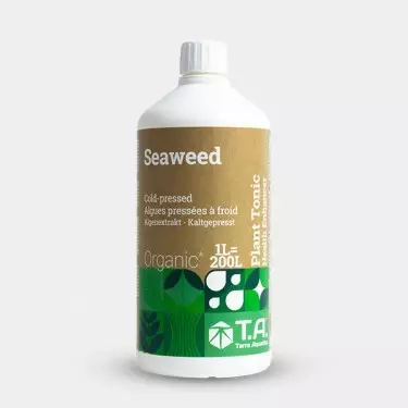 Seaweed Terra Aquatica (GHE) - GB The Green Brand