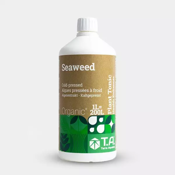 Visualizzazione Seaweed Terra Aquatica (GHE) - GB The Green Brand