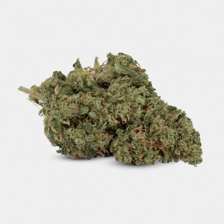 Fiori CBD GB Outdoor OG Kush- GB The Green Brand