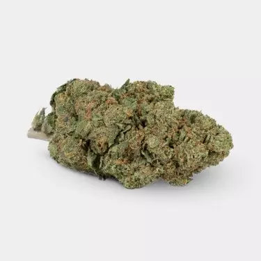 Fiori CBD GB Outdoor 'Moby Dick' - GB The Green Brand