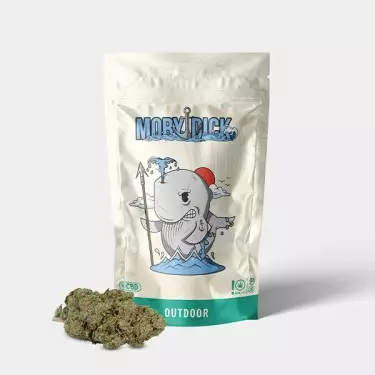 Fiori CBD GB Outdoor 'Moby Dick' - GB The Green Brand