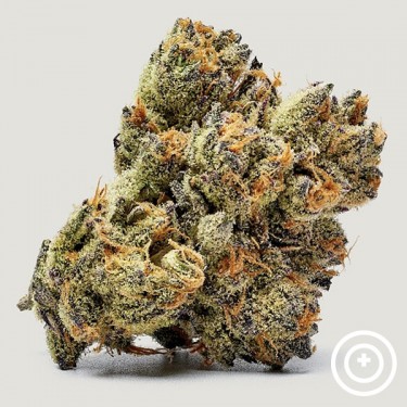 Visualizzazione Honey Runtz Purple City Genetics