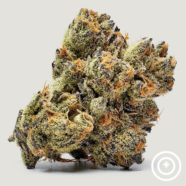 Visualizzazione Honey Runtz Purple City Genetics
