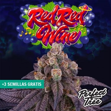 Red Red Wine di Perfect Tree 🍷 【 Con aroma di vino 🍇】| GB