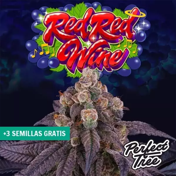 Visualizzazione Red Red Wine di Perfect Tree 🍷 【 Con aroma di vino 🍇】| GB