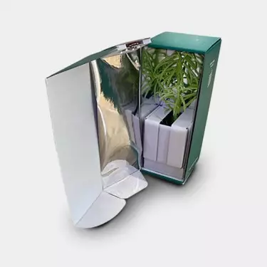 Contenitore per il trasporto di talee