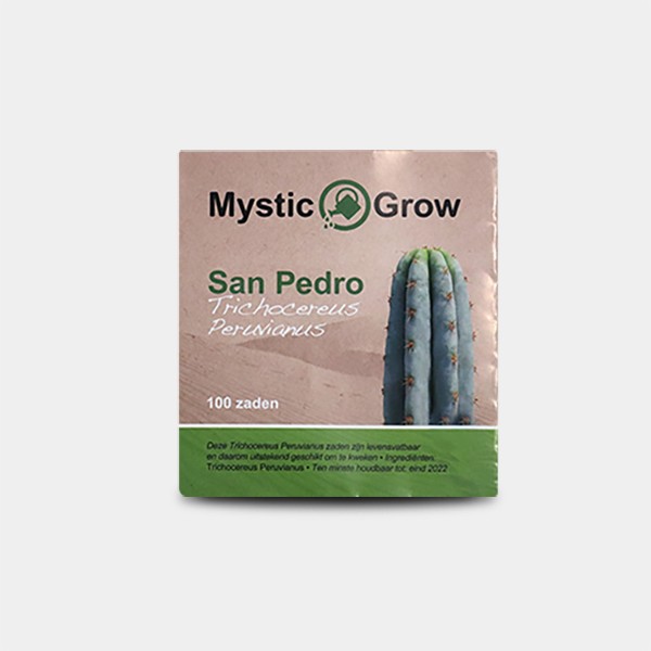 Semi di San Pedro