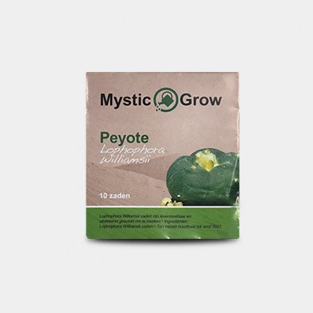 Semi di peyote