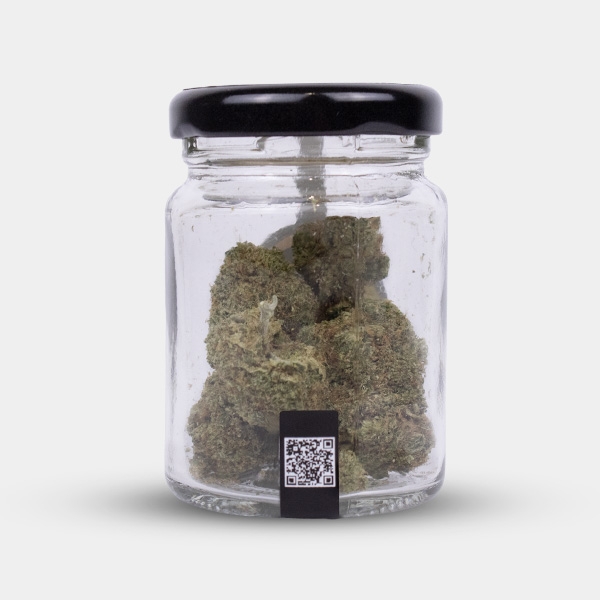 Fiori CBD North Thunderfuck Cocori Kush ⚡