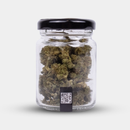 Fiori CBD Wedding Cake Cocori Kush 🍰 Dolcezza pura