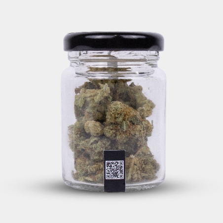 Manley Kush: Fiori di CBD californiani dal carattere orientale