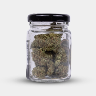 Forza e carattere con i fiori di CBD Royal Gorilla