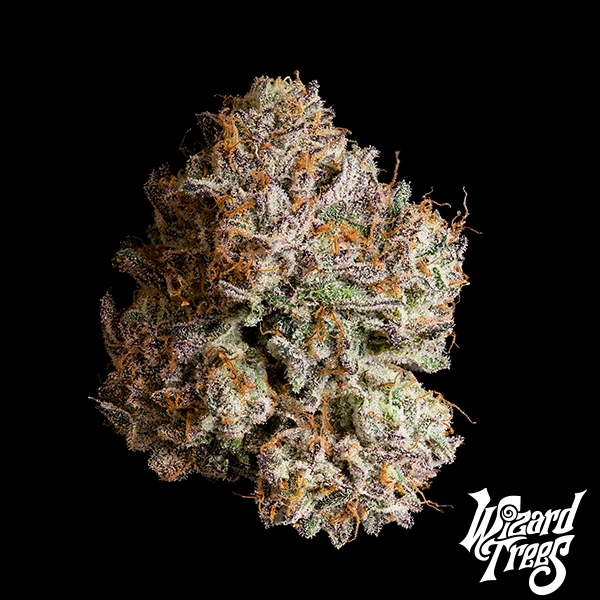 Visualizzazione Obsidian di Wizard Trees