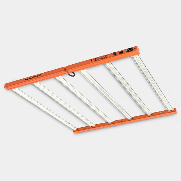 Kit Completo Esperto 120x120 - GB The Green Brand