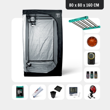 Kit Completo Principiante 80x80 - GB The Green Brand